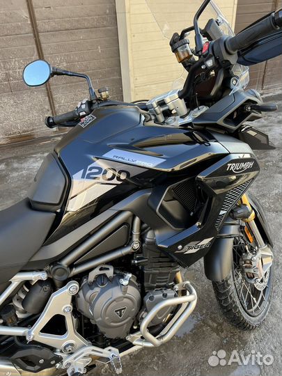 Triumph Tiger 1200 Rally PRO 2023 год