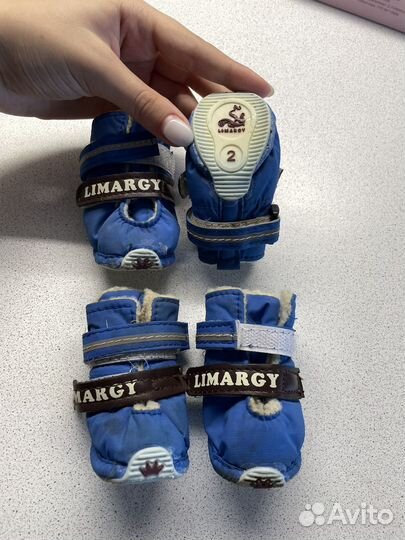 Обувь для мелких пород собачек