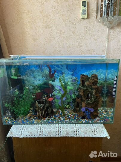 Аквариум 80л с рыбками и кормушкой