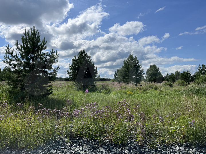 Участок 10 сот. (СНТ, ДНП)