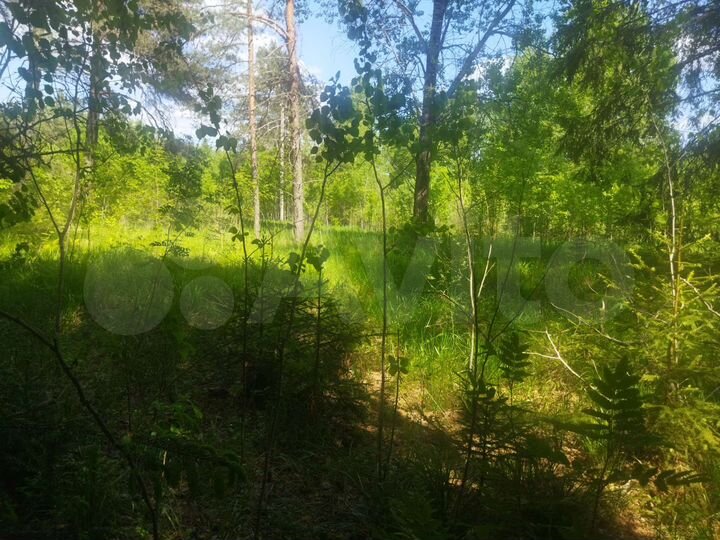 Участок 100 сот. (ИЖС)