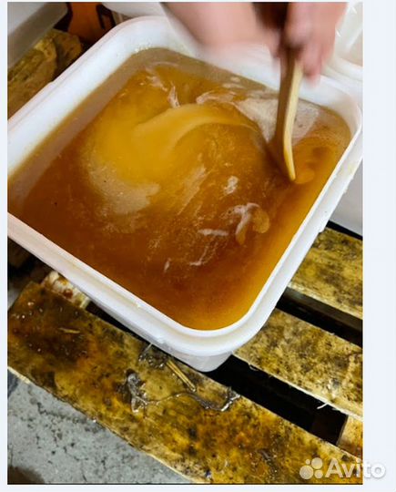 Мед оптом. Цветочный мед