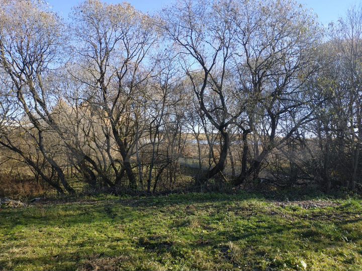 Участок 23,1 сот. (ИЖС)