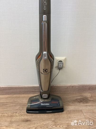 Пылесос Electrolux ergorapido