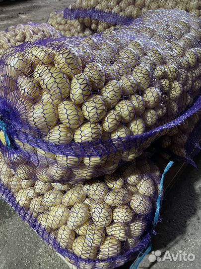 Беби картофель