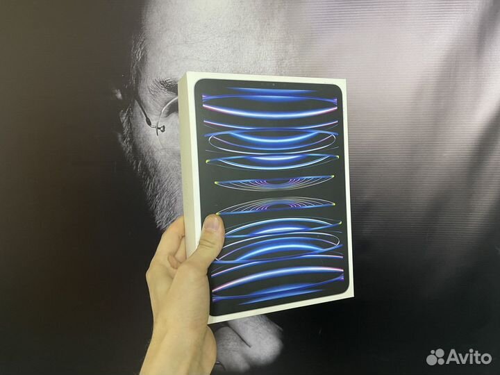iPad pro 11 2022 m2 256gb wifi
