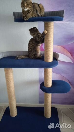 Домик игровой комплекс для кошек