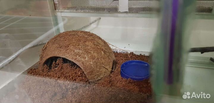 Домик,укрытие из кокоса