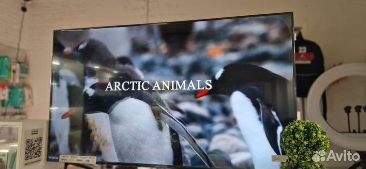 Телевизор Sony TV 4K 50