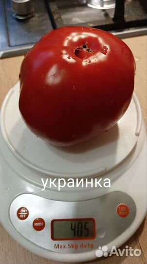 Семена томатов коллекционные