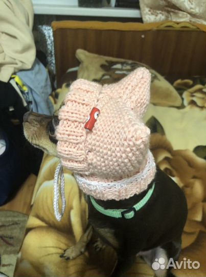 Шапочки на заказ для маленьких пород собак