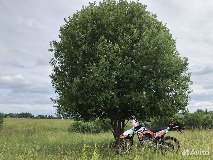 Kayo T2 enduro