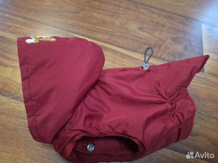 Жилет для маленькой собачки