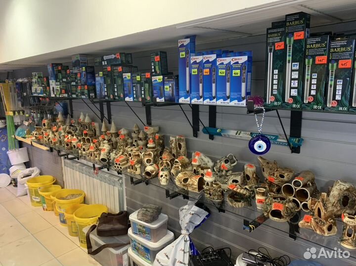 Аквариумные рыбки, все для аквариумистики