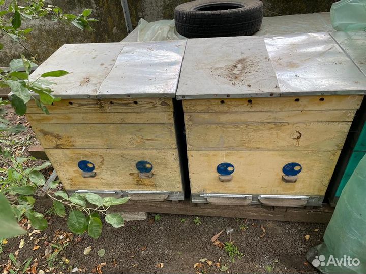 Продам Улья для пчёл