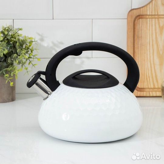 Чайник со свистком из нержавеющей стали Magistro G