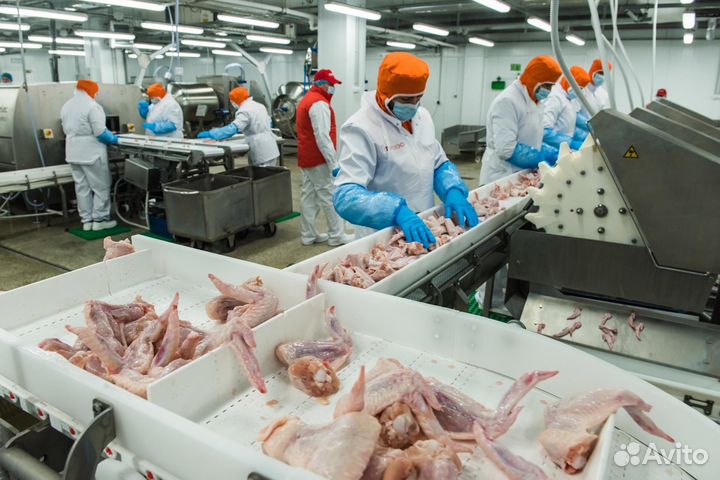 Рабочий на производство без опыта