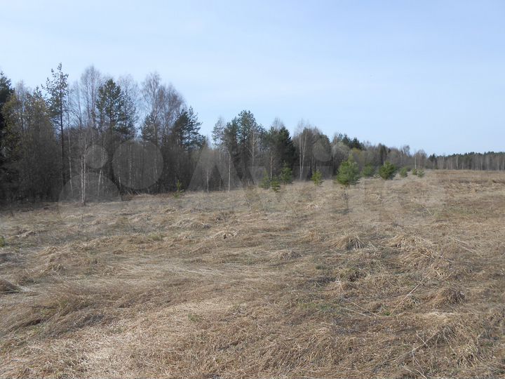 Участок 2 га (СНТ, ДНП)