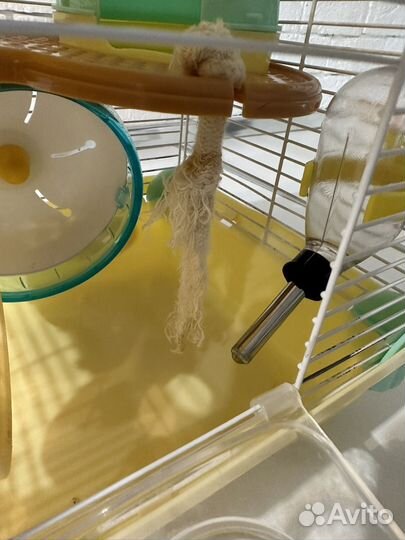 Клетка для джунгарского хомяка корм опилки
