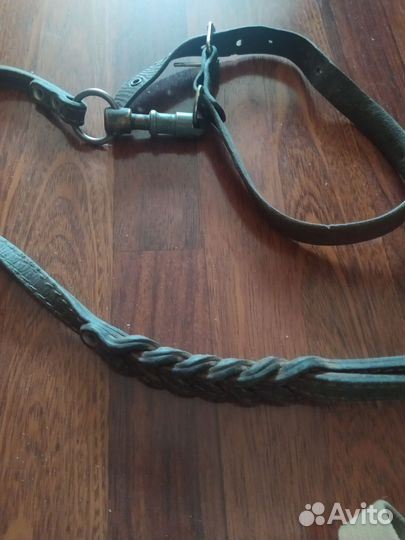 Кожаные, ошейник, намордник, поводок. Шлейка