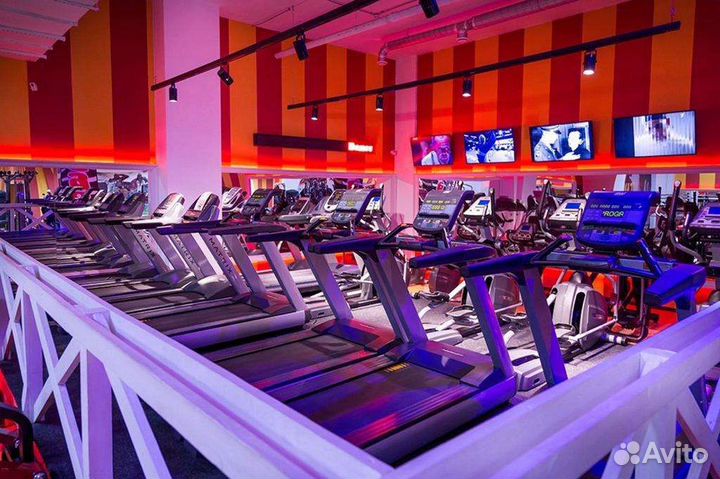 Зебра Медведково New абонемент 12/24