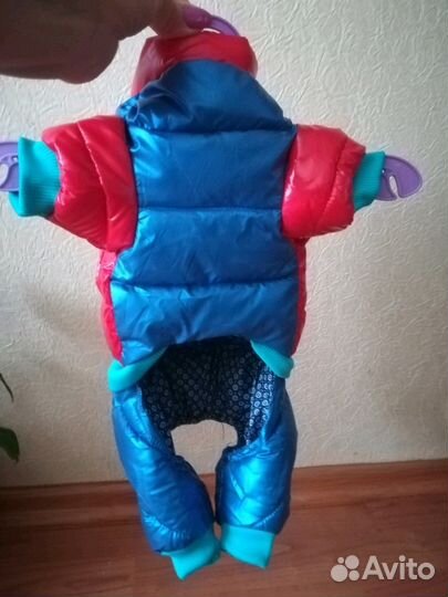 Костюм для собаки