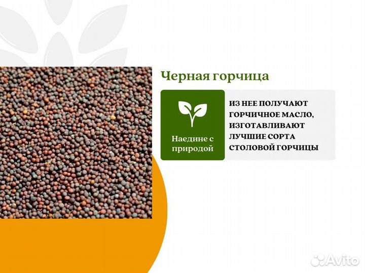 Чёрная горчица (кг)