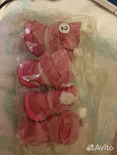 Обувь для маленьких собак