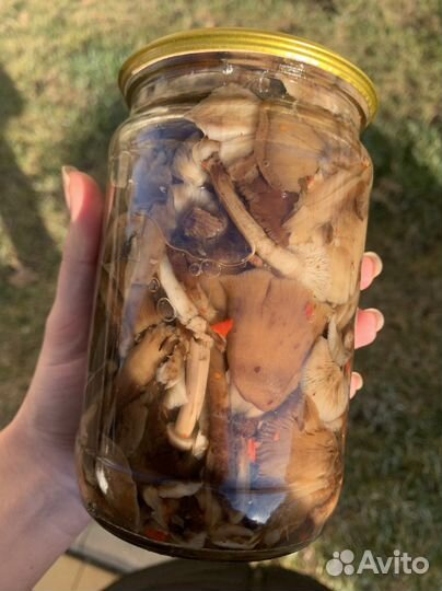 Грибы маринованные