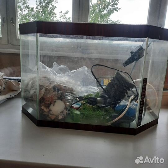Аквариум и все необходимые к нему принадлежности