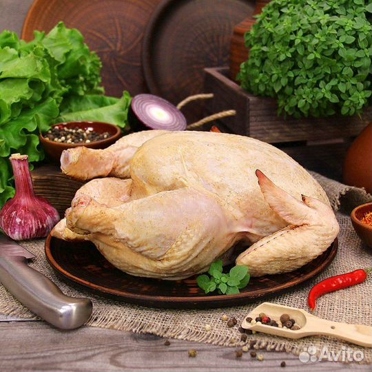 Домашние куры (бройлеры)