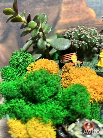 Флорариум 5л