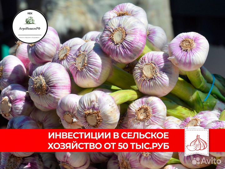 Инвестиции в бизнес