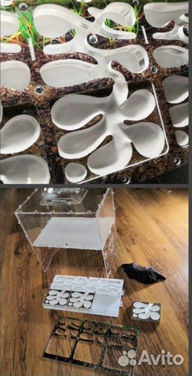 Муравьиная ферма большая с муравьями