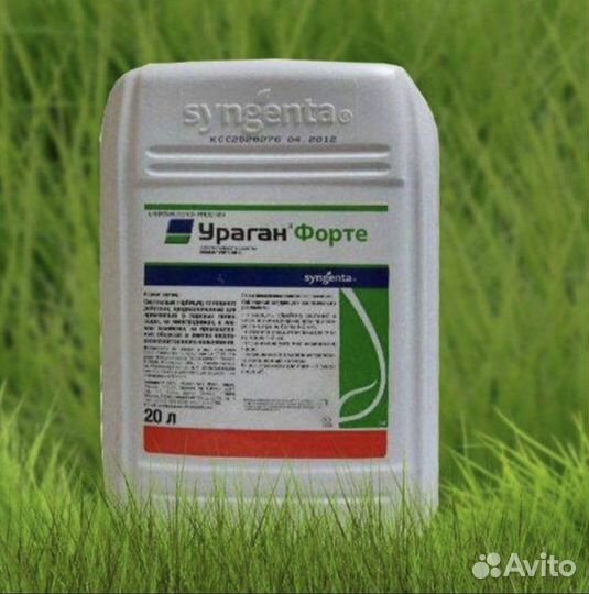 Ураган Форте