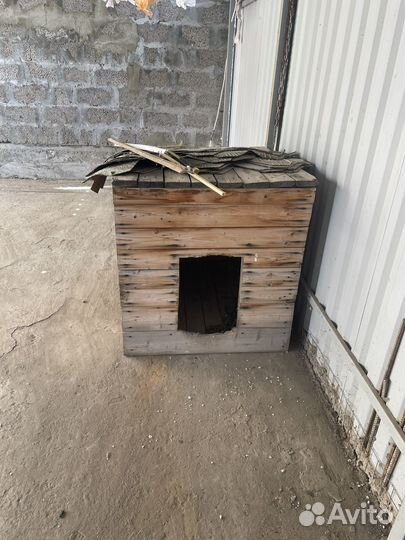 Будка для большой собаки