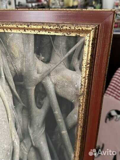 Картина: голова Будды в корнях дерева