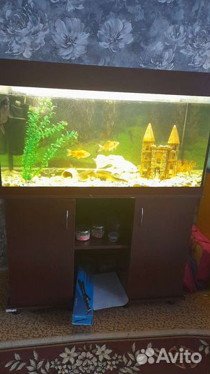 Аквариум с тумбой 240