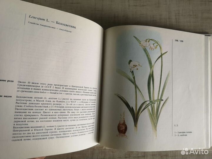 Книга про Альпинарий