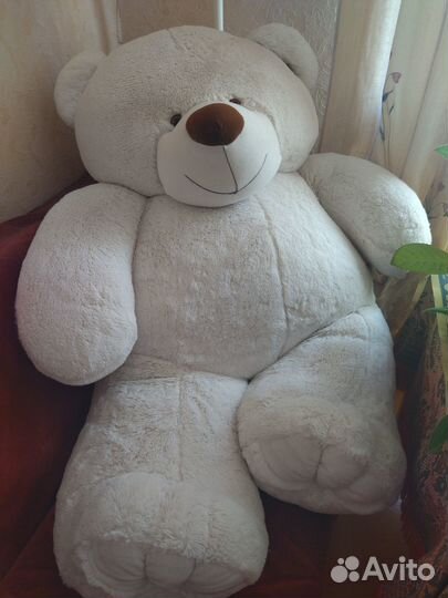 Большие плюшевые медведи