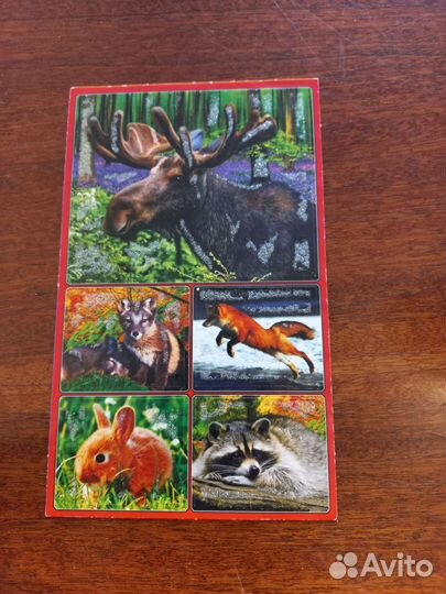 Наклейки. Животные.Птицы.Лошади.Дельфины.Собаки