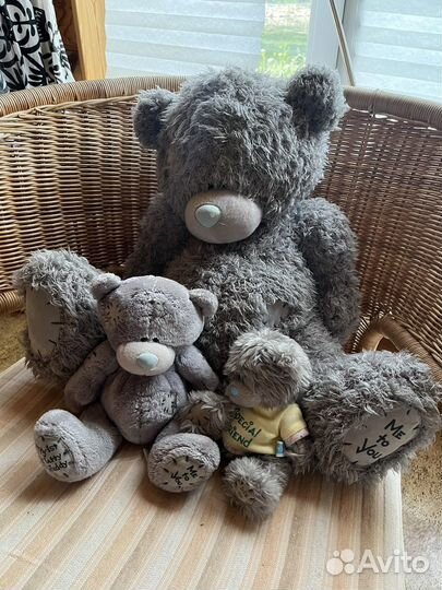 Медведь Me to you