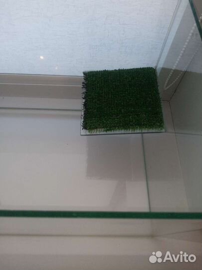 Аквариум и мостик