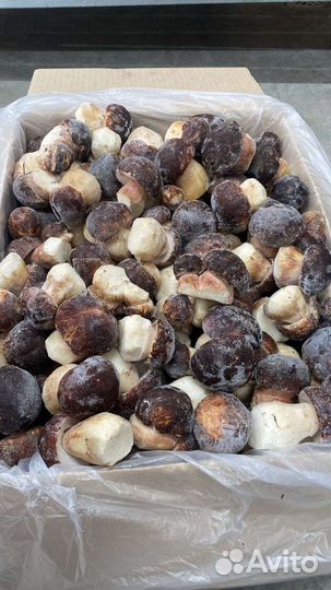 Свежезамороженный Белый гриб (цельный) 1 сорт