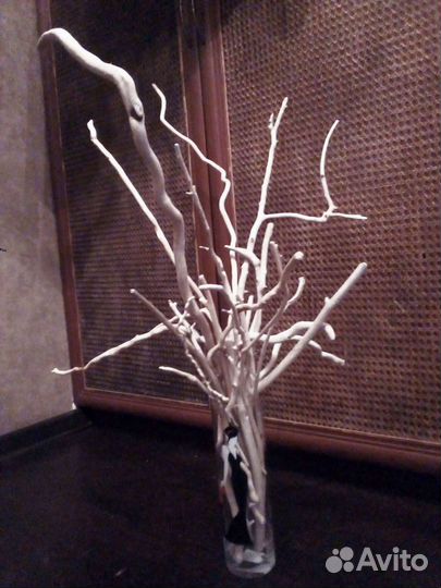 Коряги морские