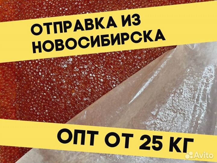 Икра нерки красная, улов 2023