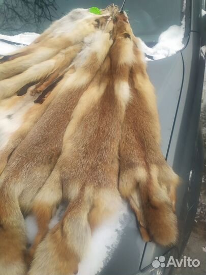 Лисьи шкуры (Мех лисы)