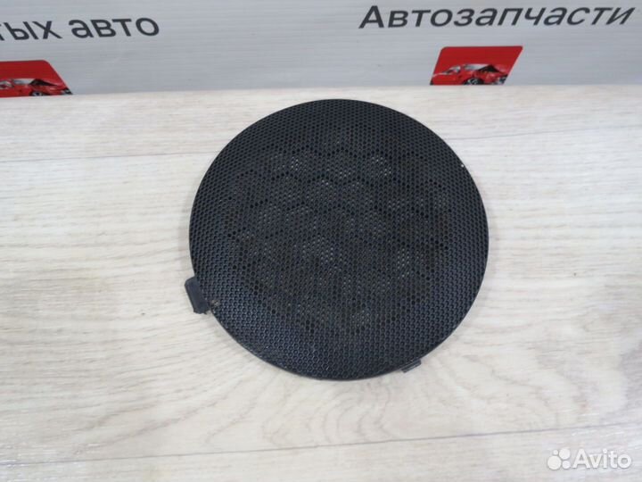 Решетка двери Renault Duster