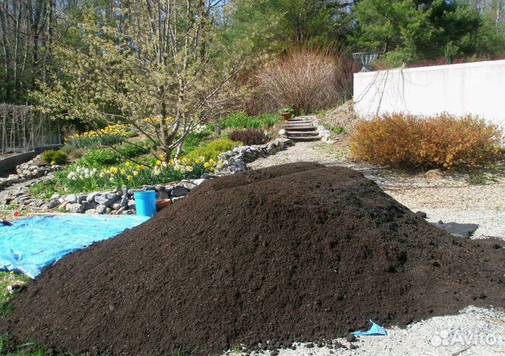 Чернозем в наличии