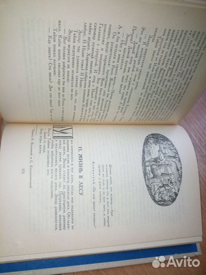 Джин Монтгомери.Ищи на диком берегу. 1979 г